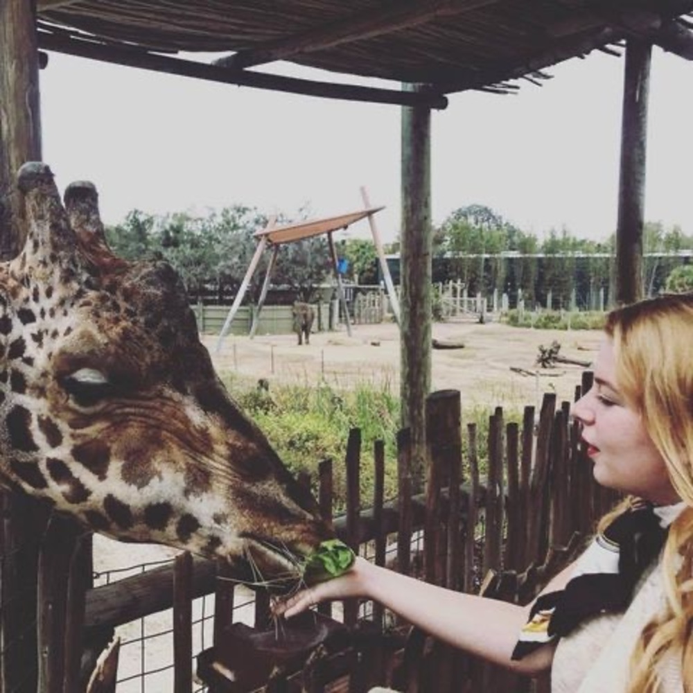 Meet your Posher, Miranda